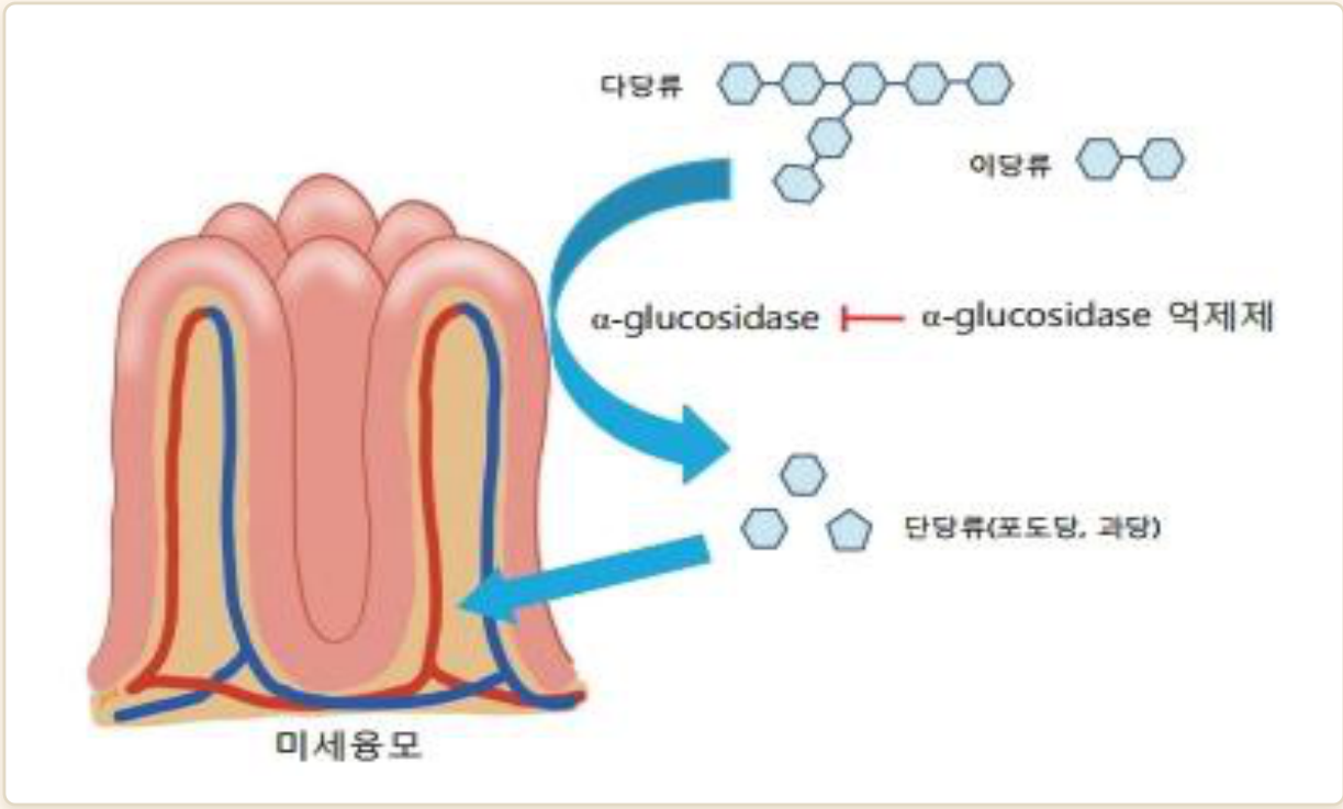 0902_췌장당뇨_박종선_p027a