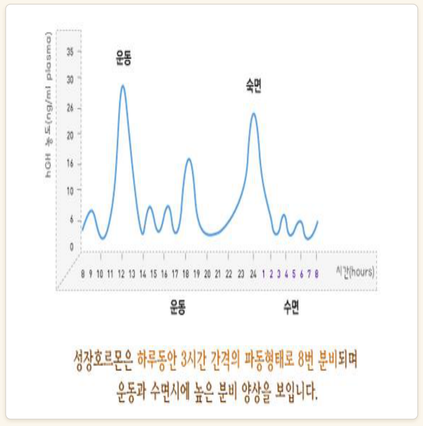 0826_성장호르몬-ne2_박종선_p017a