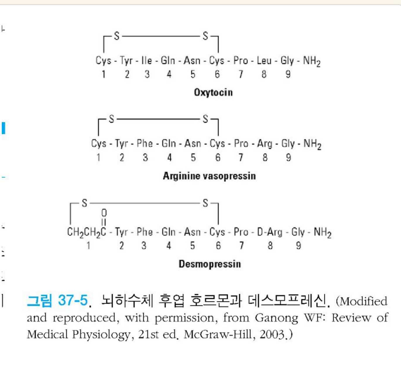 0826_성장호르몬-ne2_박종선_p035a