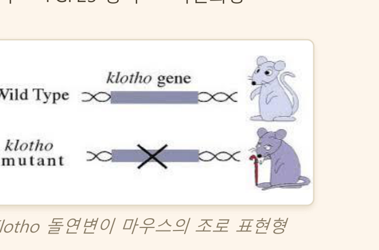 0902_뼈무기질_박종선_p018a