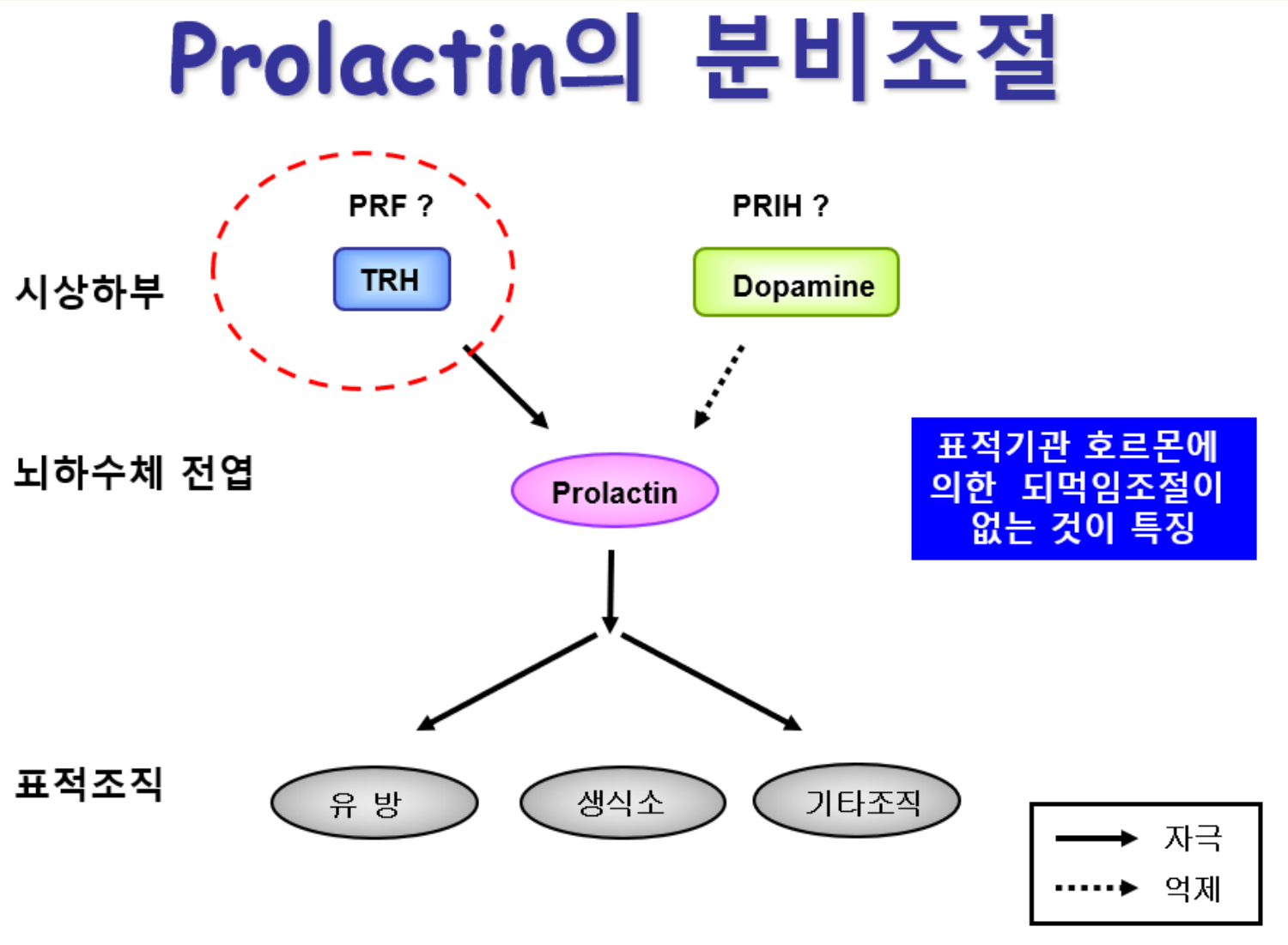 0826_성장호르몬-ne2_박종선_p033a