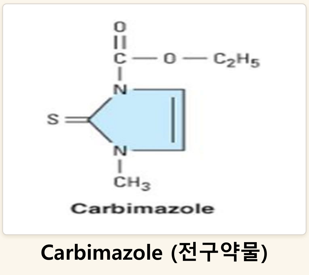 0826_갑상샘호르몬-new_박종선_p024b