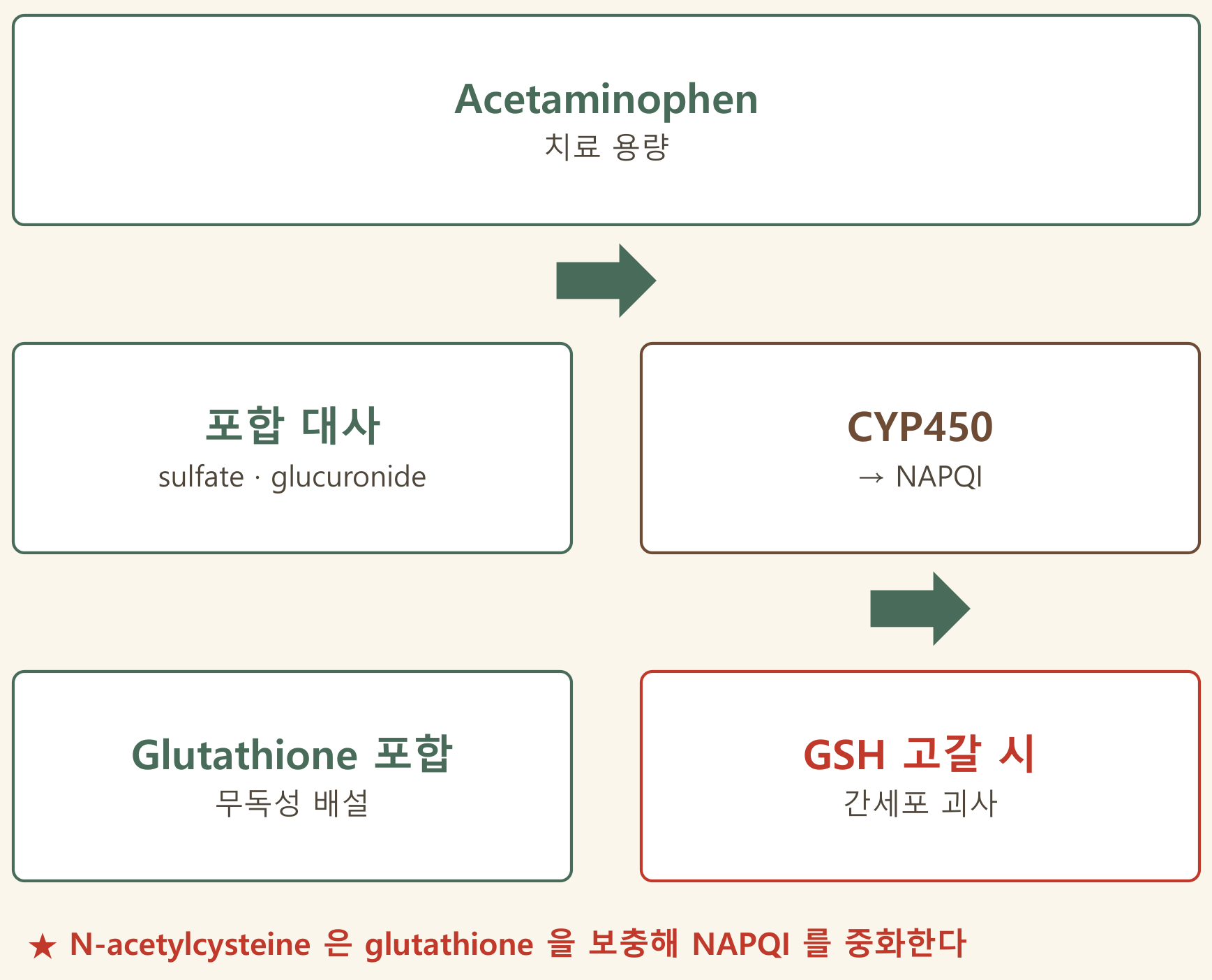 0825_NSAID-02_박종선_p036a
