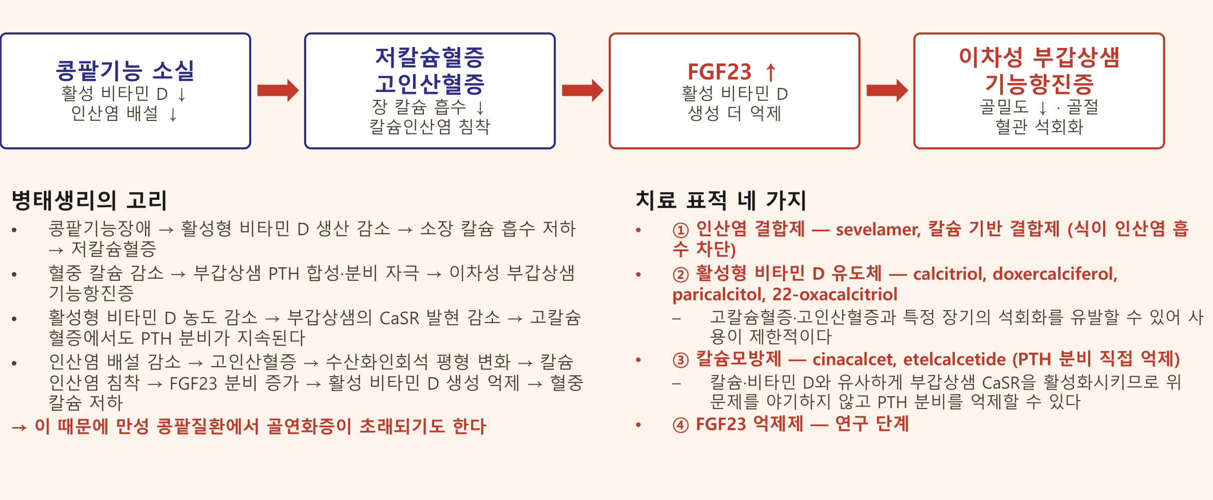 0902_뼈무기질_박종선_p039a