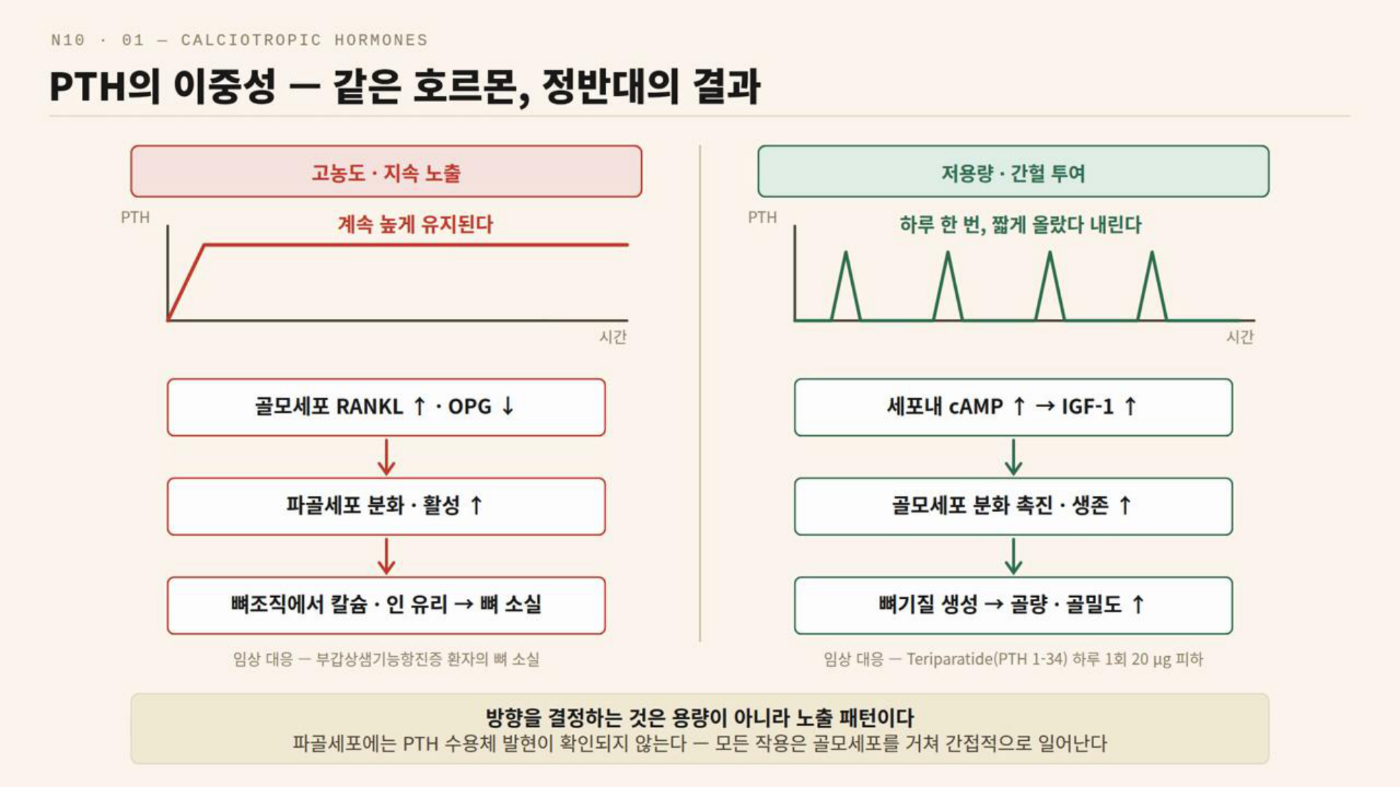 0902_뼈무기질_박종선_p013_full