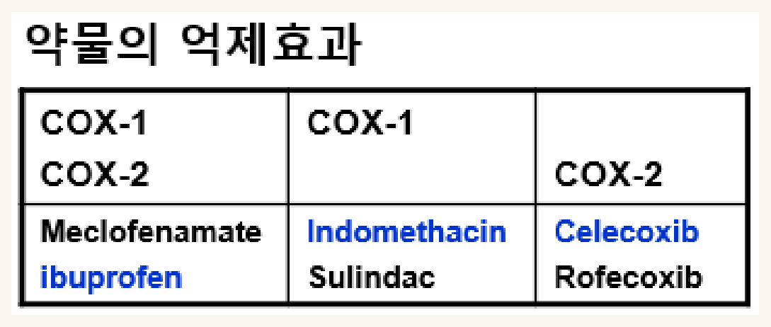 0825_NSAID-01_박종선_p021a