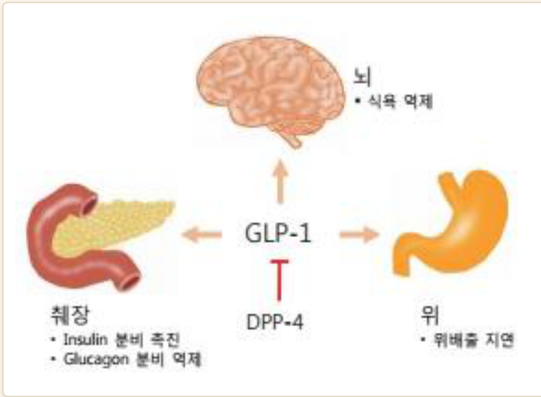 0902_췌장당뇨_박종선_p028a